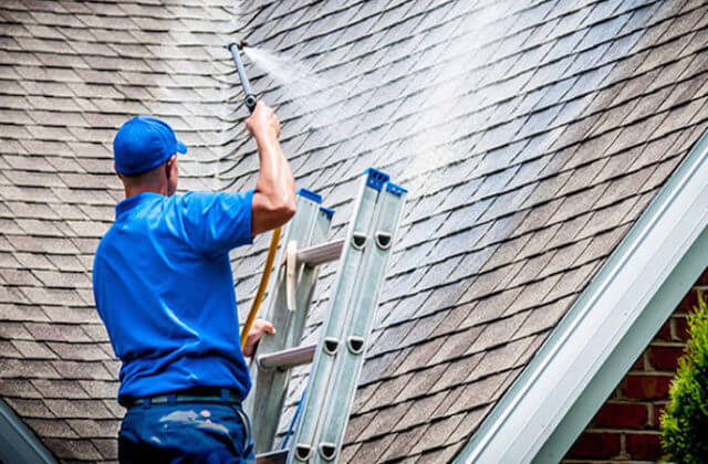 mount pleasant roof cleaning